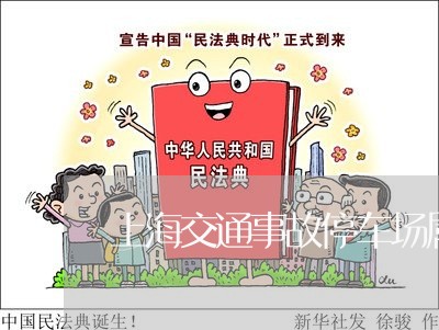 上海交通事故停车场属于哪里/2023040163823