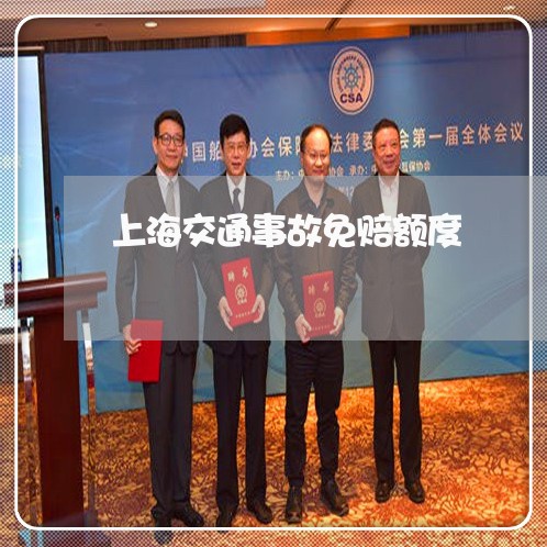 上海交通事故免赔额度/2023021330371 上海交通事故免赔额度/2023021330371