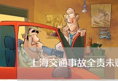 上海交通事故全责未赔偿/2023030183017 上海交通事故全责未赔偿/2023030183017