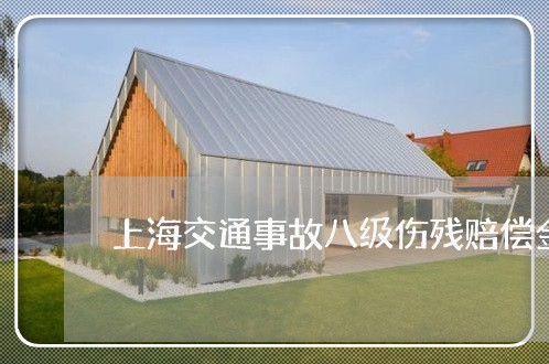 上海交通事故八级伤残赔偿金/2023040106362 上海交通事故八级伤残赔偿金/2023040106362