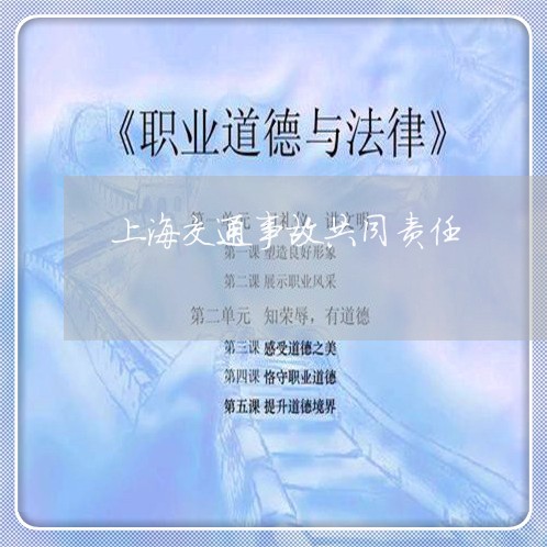 上海交通事故共同责任/2023021326280 上海交通事故共同责任/2023021326280