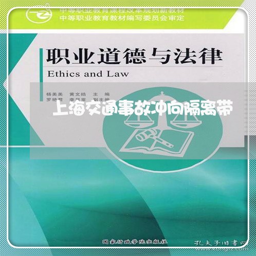 上海交通事故冲向隔离带/2023030164727 上海交通事故冲向隔离带/2023030164727