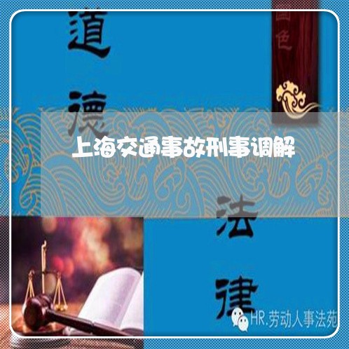 上海交通事故刑事调解/2023021385715