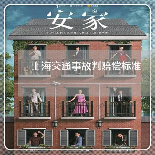 上海交通事故判赔偿标准/2023022849482