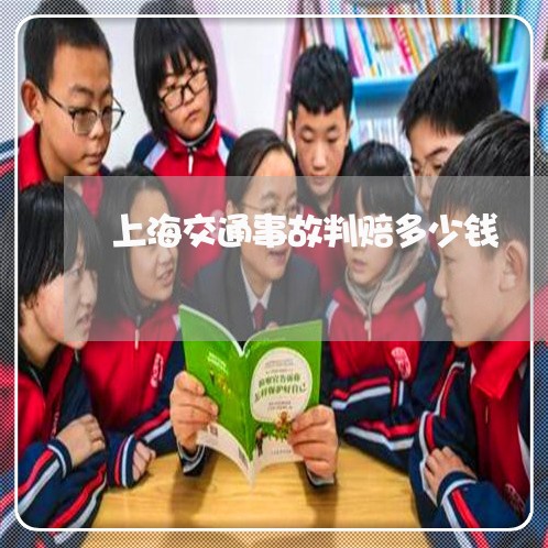 上海交通事故判赔多少钱/2023022892684