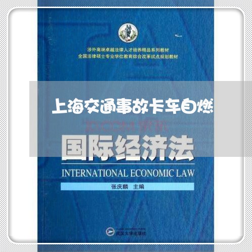上海交通事故卡车自燃/2023021318262 上海交通事故卡车自燃/2023021318262
