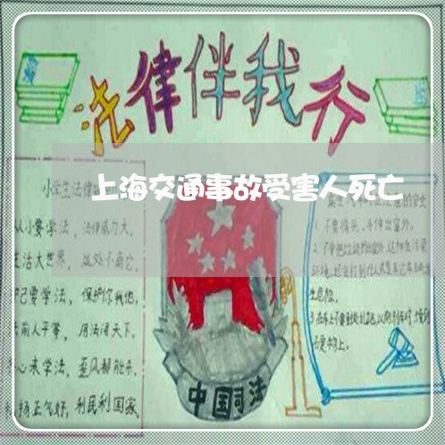 上海交通事故受害人死亡/2023030130272
