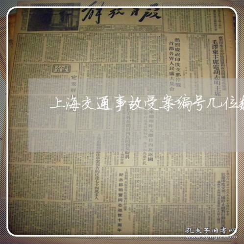 上海交通事故受案编号几位数/2023040148280