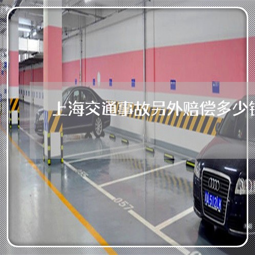 上海交通事故另外赔偿多少钱/2023040159503