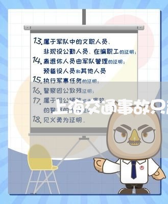 上海交通事故只起诉肇事方吗/2023040164604