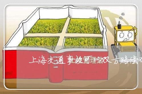 上海交通事故可以双方赔偿吗/2023040119360