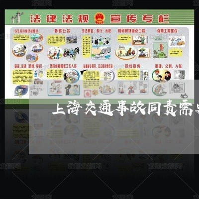 上海交通事故同责需要谅解么/2023040149382 上海交通事故同责需要谅解么/2023040149382