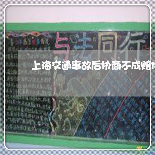 上海交通事故后协商不成赔偿/2023040172846 上海交通事故后协商不成赔偿/2023040172846