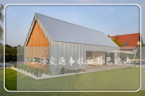 上海交通事故后自己逃逸/2023030138481