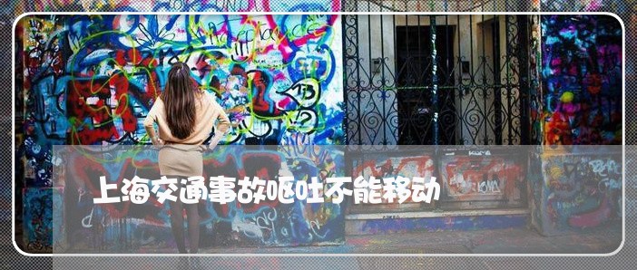 上海交通事故呕吐不能移动/2023031994706 上海交通事故呕吐不能移动/2023031994706