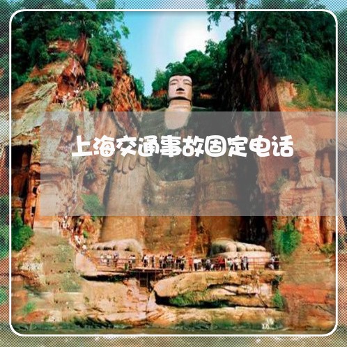上海交通事故固定电话/2023021316149 上海交通事故固定电话/2023021316149
