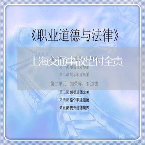 上海交通事故垫付全责/2023021397239 上海交通事故垫付全责/2023021397239