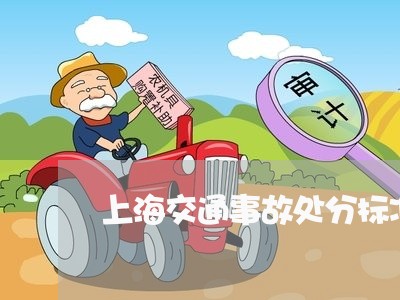 上海交通事故处分标准/2023021399493 上海交通事故处分标准/2023021399493