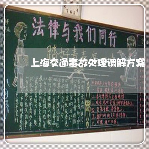 上海交通事故处理调解方案/2023031915136 上海交通事故处理调解方案/2023031915136