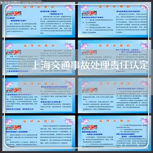 上海交通事故处理责任认定/2023031949280