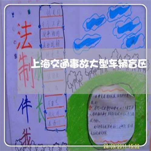 上海交通事故大型车辆盲区/2023031903059 上海交通事故大型车辆盲区/2023031903059