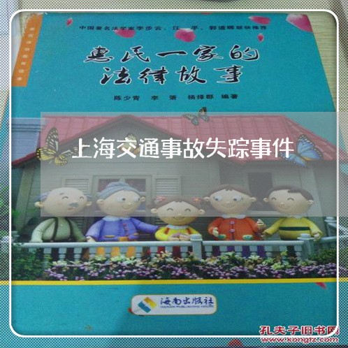 上海交通事故失踪事件/2023021338380 上海交通事故失踪事件/2023021338380