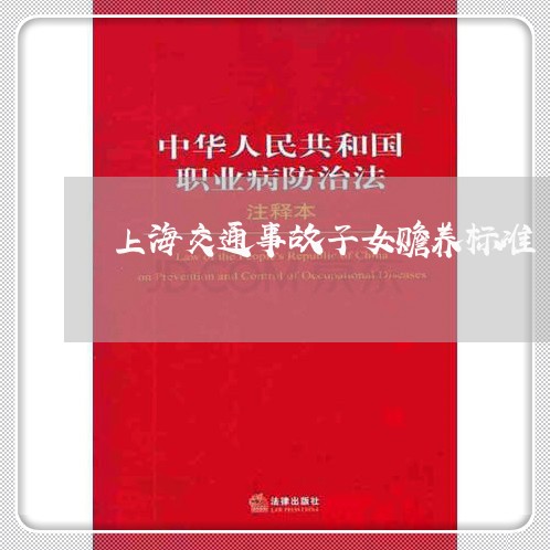 上海交通事故子女赡养标准/2023031951684 上海交通事故子女赡养标准/2023031951684