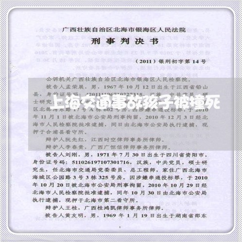 上海交通事故孩子被撞死/2023030117126 上海交通事故孩子被撞死/2023030117126