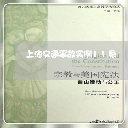 上海交通事故实例11条/2023030183816 上海交通事故实例11条/2023030183816