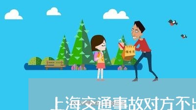 上海交通事故对方不出认定书/2023040193826 上海交通事故对方不出认定书/2023040193826