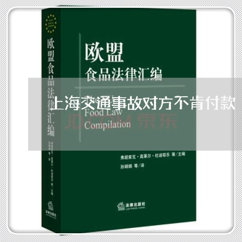 上海交通事故对方不肯付款/2023031958392 上海交通事故对方不肯付款/2023031958392