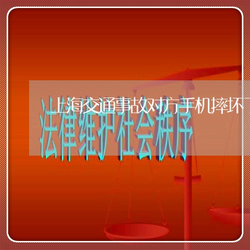 上海交通事故对方手机摔坏了/2023040128269 上海交通事故对方手机摔坏了/2023040128269