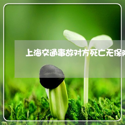 上海交通事故对方死亡无保险/2023040103638 上海交通事故对方死亡无保险/2023040103638