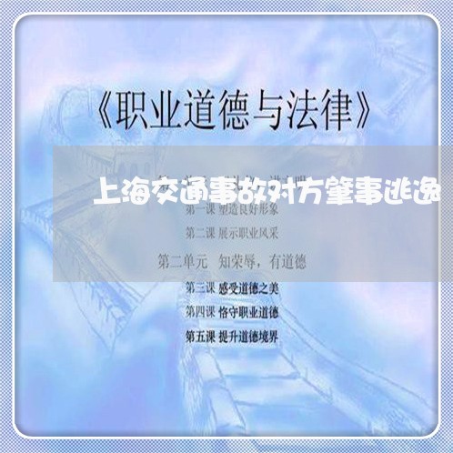 上海交通事故对方肇事逃逸/2023032002807 上海交通事故对方肇事逃逸/2023032002807