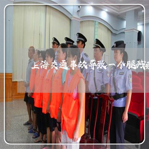 上海交通事故导致一个腿残疾/2023040152484