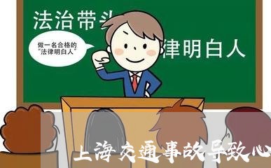 上海交通事故导致心梗死亡/2023032003919 上海交通事故导致心梗死亡/2023032003919