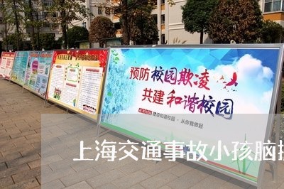 上海交通事故小孩脑损伤/2023042204848 上海交通事故小孩脑损伤/2023042204848