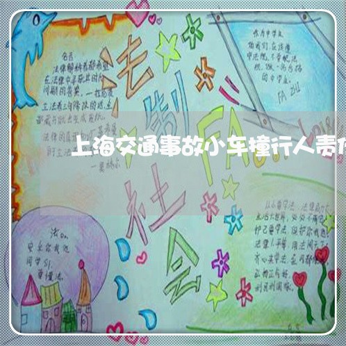上海交通事故小车撞行人责任/2023040185295 上海交通事故小车撞行人责任/2023040185295