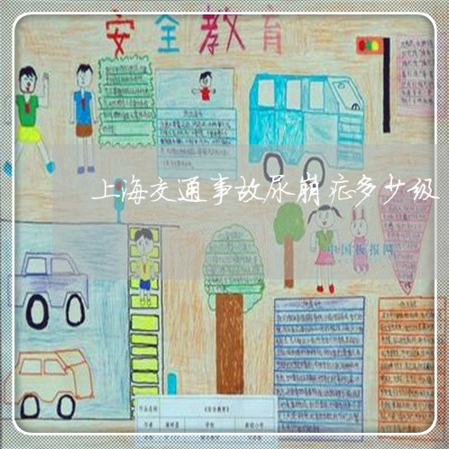上海交通事故尿崩症多少级/2023032073515 上海交通事故尿崩症多少级/2023032073515