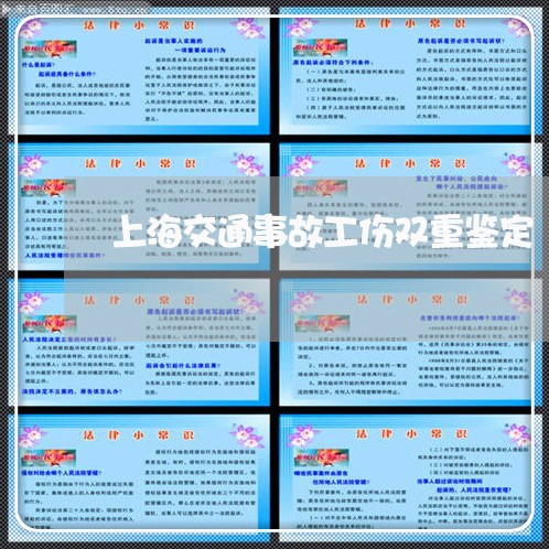 上海交通事故工伤双重鉴定/2023032005147 上海交通事故工伤双重鉴定/2023032005147