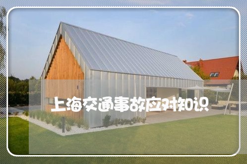 上海交通事故应对知识/2023021338350 上海交通事故应对知识/2023021338350