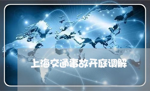上海交通事故开庭调解/2023021393815