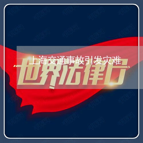 上海交通事故引发灾难/2023021362936 上海交通事故引发灾难/2023021362936