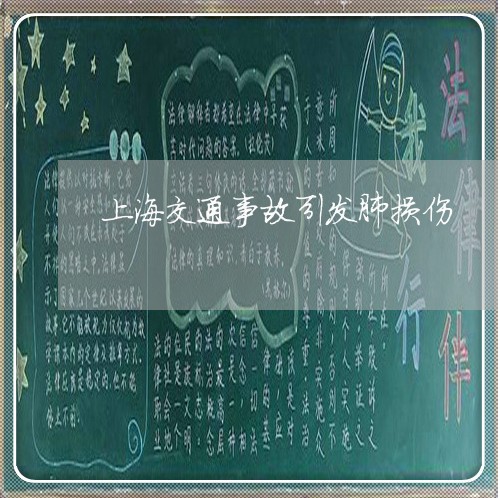 上海交通事故引发肺损伤/2023022837151 上海交通事故引发肺损伤/2023022837151