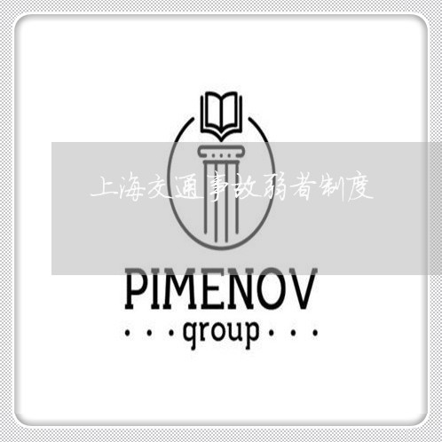 上海交通事故弱者制度/2023021339359 上海交通事故弱者制度/2023021339359