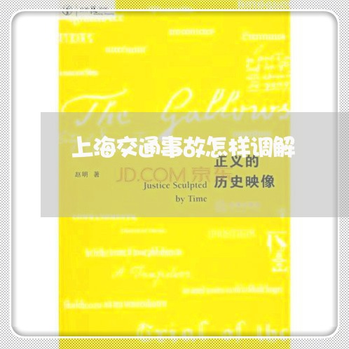 上海交通事故怎样调解/2023021327046 上海交通事故怎样调解/2023021327046