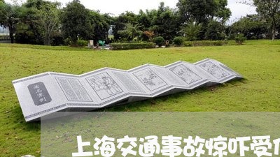 上海交通事故惊吓受伤赔偿/2023032004614