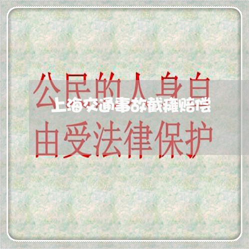 上海交通事故截瘫赔偿/2023021373726 上海交通事故截瘫赔偿/2023021373726