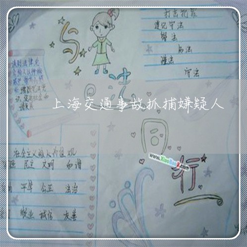 上海交通事故抓捕嫌疑人/2023030183623 上海交通事故抓捕嫌疑人/2023030183623