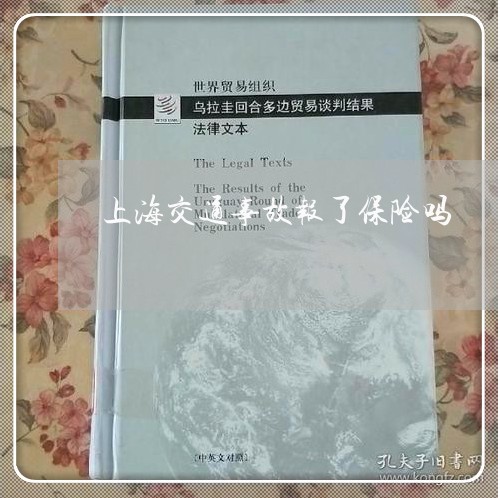 上海交通事故报了保险吗/2023042342793